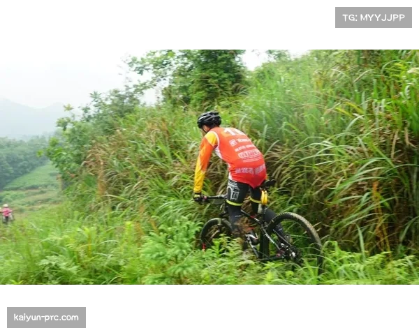 推动户外赛事绿色直播标准,降低碳足迹影响